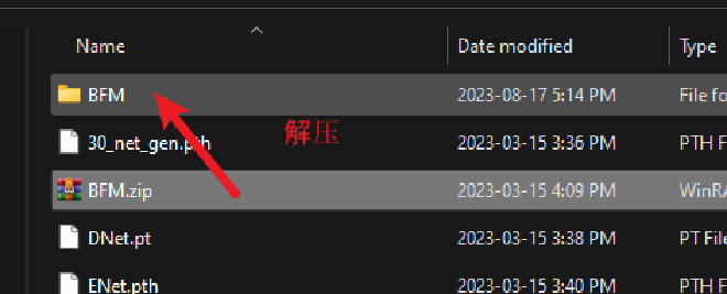解压BFM.zip到BFM文件夹
